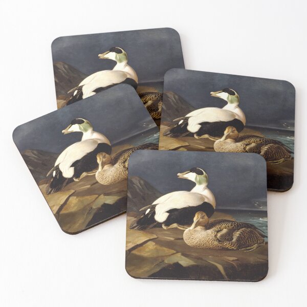 Item preview, Pair of common eiders on a rock, 1869, by Ferdinand von Wright designed and sold by AngyDesigns49.