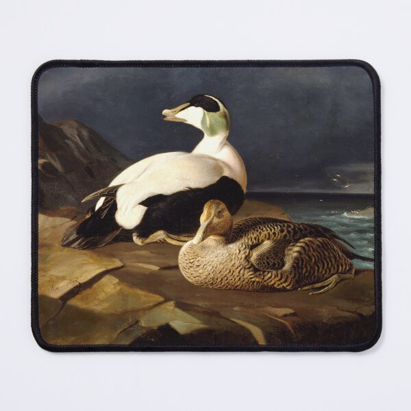 Item preview, Pair of common eiders on a rock, 1869, by Ferdinand von Wright designed and sold by AngyDesigns49.