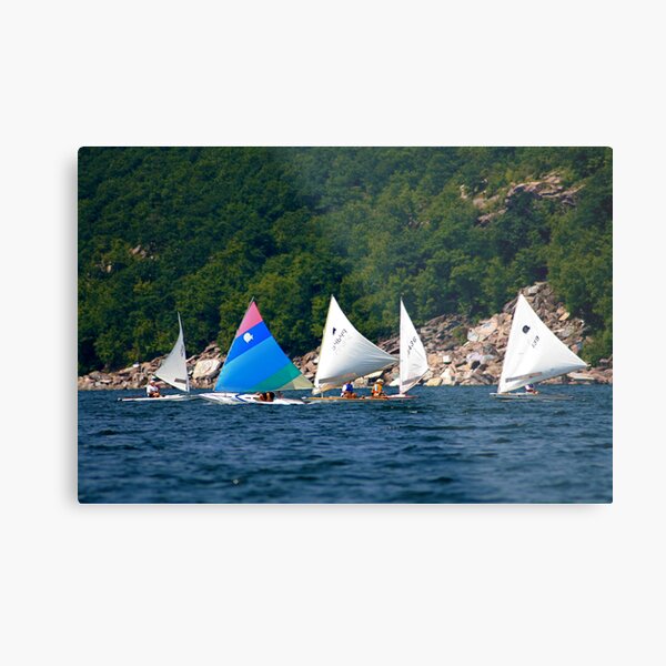 Afternoon Delight Metal Print