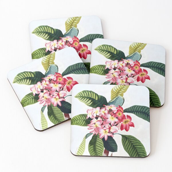 Item preview, Plumeria - Georg Dionysius Ehret designed and sold by Jon-Baran.