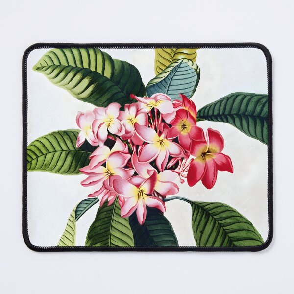 Item preview, Plumeria - Georg Dionysius Ehret designed and sold by Jon-Baran.