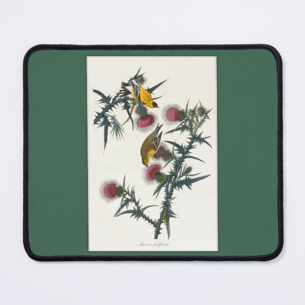 Item preview, Ornithological Print: Gold Finches on Thistles designed and sold by Tridentulus.
