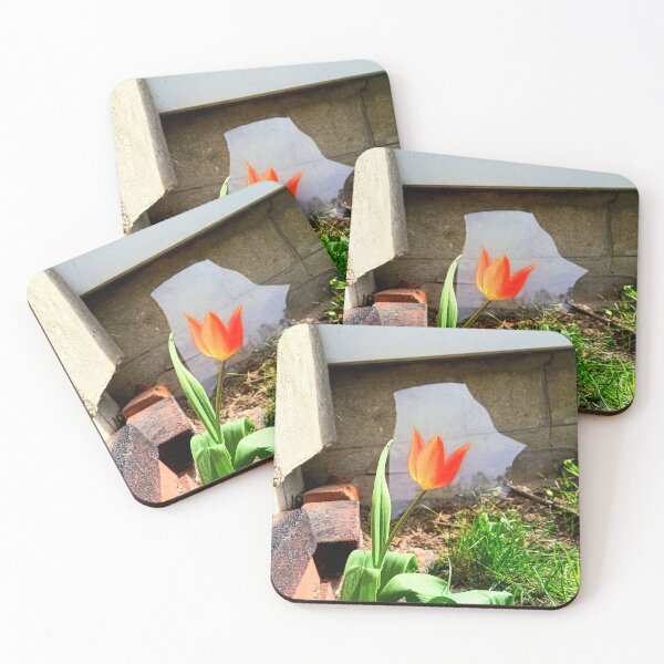 Item preview, Tulip designed and sold by |Paradoxed|.
