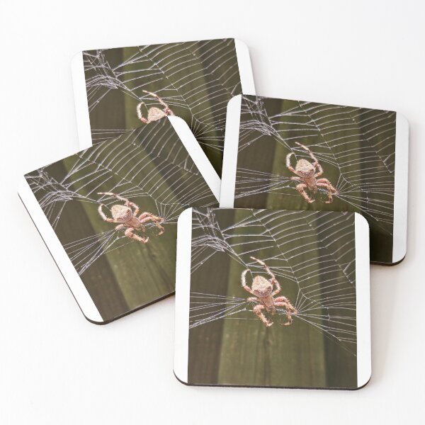 Item preview, Spider  designed and sold by |Paradoxed|.