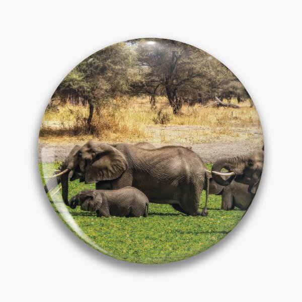 Item preview, Elephant Spa designed and sold by Kay Brewer.