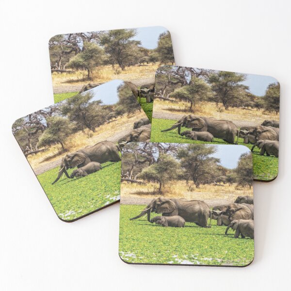 Item preview, Elephant Spa designed and sold by Kay Brewer.