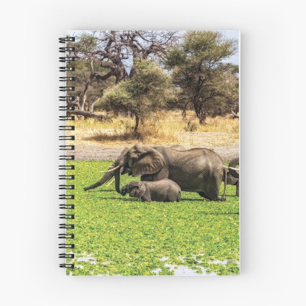 Item preview, Elephant Spa designed and sold by Kay Brewer.