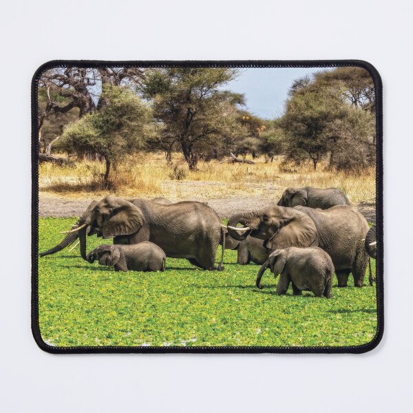 Item preview, Elephant Spa designed and sold by Kay Brewer.