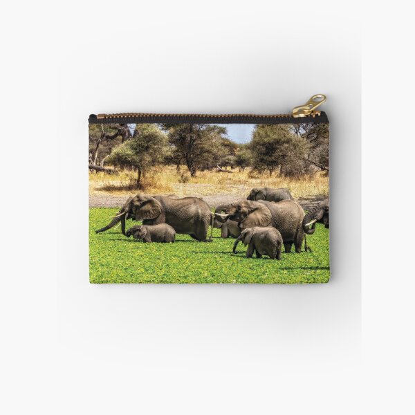 Item preview, Elephant Spa designed and sold by Kay Brewer.