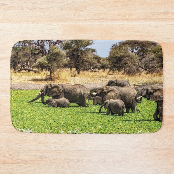 Item preview, Elephant Spa designed and sold by Kay Brewer.