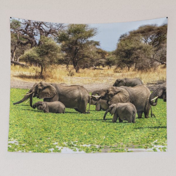 Item preview, Elephant Spa designed and sold by Kay Brewer.