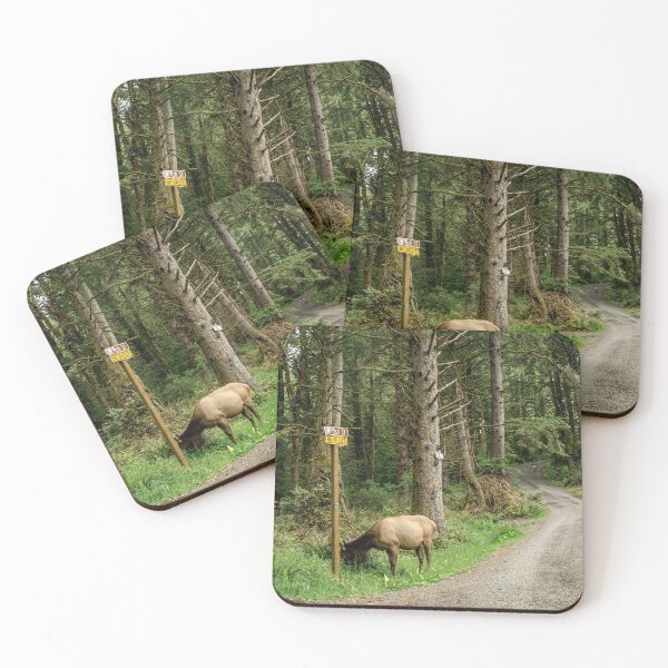 Item preview, Elk in the Forest | Oregon Coast Photography designed and sold by anthonylonder.