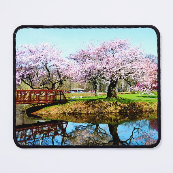 Item preview, Cherry Trees in the Park designed and sold by Susan Savad.
