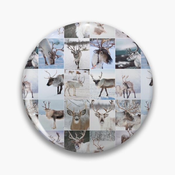 Item preview, Reindeer Christmas Photo Collage designed and sold by ColorfulPrints.