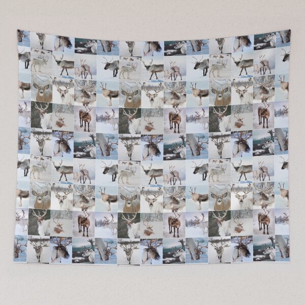 Item preview, Reindeer Christmas Photo Collage designed and sold by ColorfulPrints.