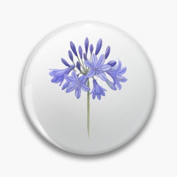Item preview, Agapanthus ‘Northern Star’ designed and sold by HOMETOWN86.
