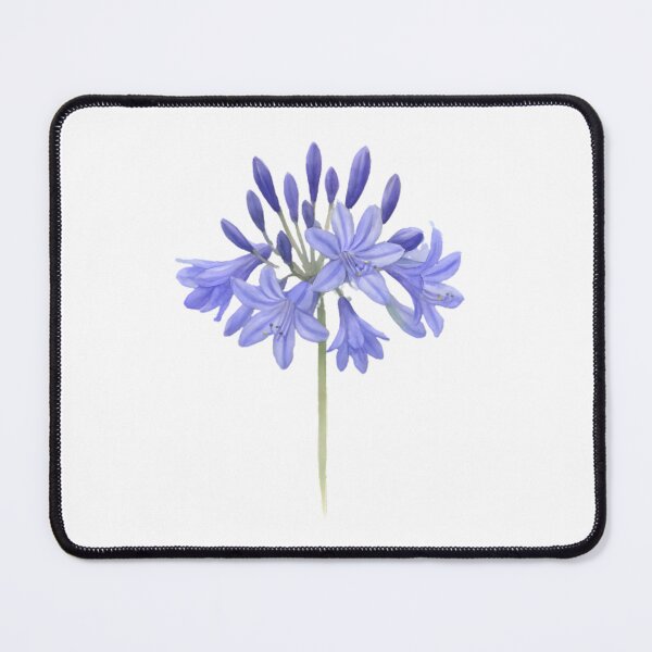 Item preview, Agapanthus ‘Northern Star’ designed and sold by HOMETOWN86.