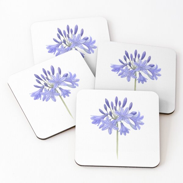 Item preview, Agapanthus ‘Northern Star’ designed and sold by HOMETOWN86.