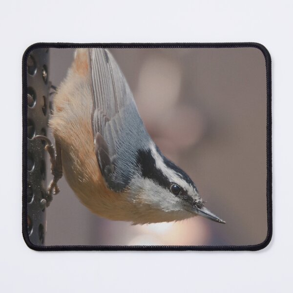 Item preview, A nuthatch in the feeder designed and sold by Production Art Manon Meilleur.