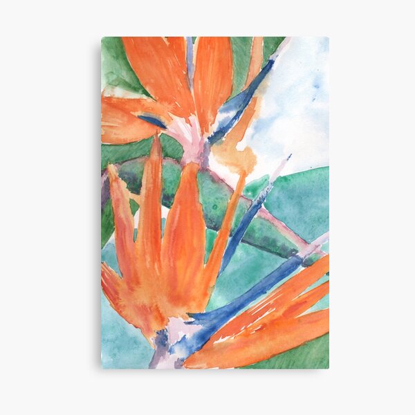 Strelitzia Canvas Print