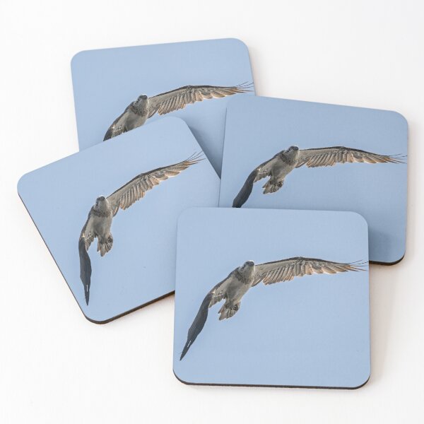 Item preview, Osprey on the Watch designed and sold by Jan Fijolek.
