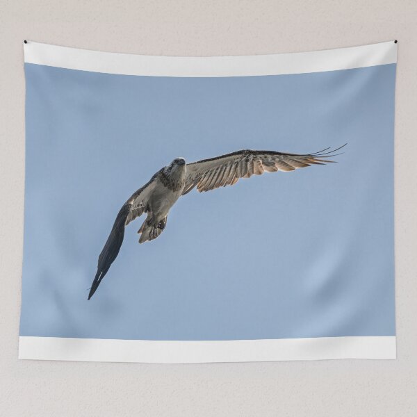 Item preview, Osprey on the Watch designed and sold by Jan Fijolek.
