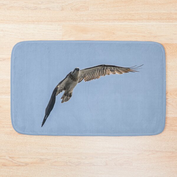 Item preview, Osprey on the Watch designed and sold by Jan Fijolek.