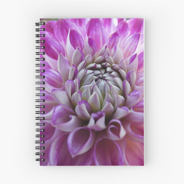 Item preview, Dalia bicolor designed and sold by SylverLight.