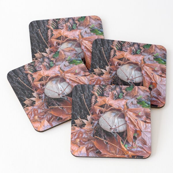 Item preview, Autumn Chance designed and sold by Lin's prints.