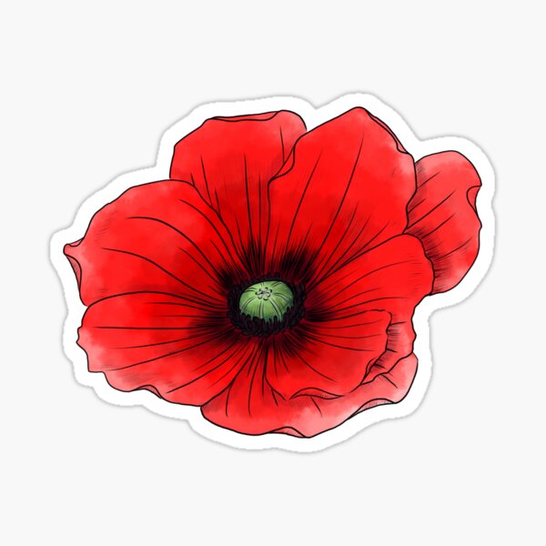 Poppy(Red) Sticker