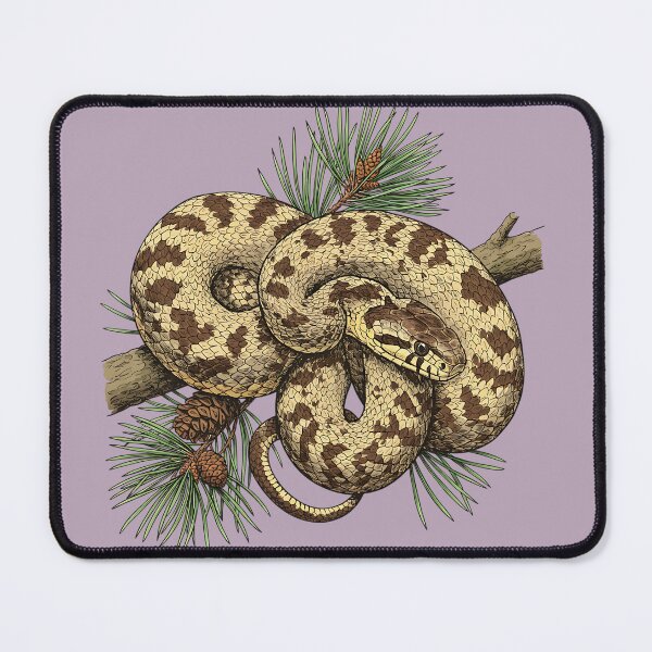 Item preview, Northern Pine Snake Resting on Longleaf Boughs designed and sold by BirdsnStuff.