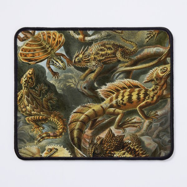 Item preview, Lizards, Lacertilia (Art Forms in Nature, 1899) by Ernst Haeckel designed and sold by DudePal.