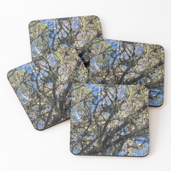 Item preview, Trees Draped in Lace designed and sold by Betsy Phillips.
