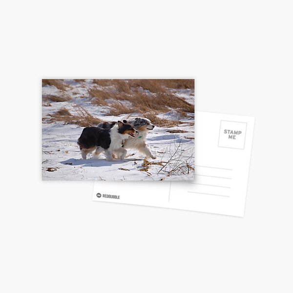 Aussies On A Mission Postcard