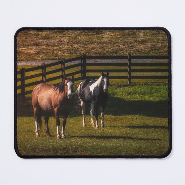 Item preview, Good Old Boys And Their Shadows designed and sold by Jim Love.