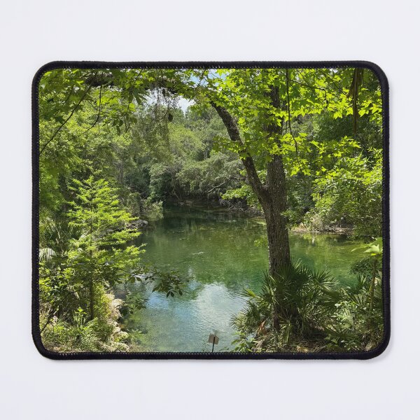 Item preview, Hidden Emerald Water in Lush Florida Forest designed and sold by royalswin.