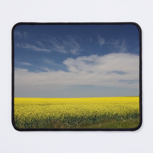 Item preview, Across the Canola fields designed and sold by Susan Henry.