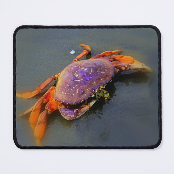 Item preview, Dungenous Dreams designed and sold by vernonplatt.