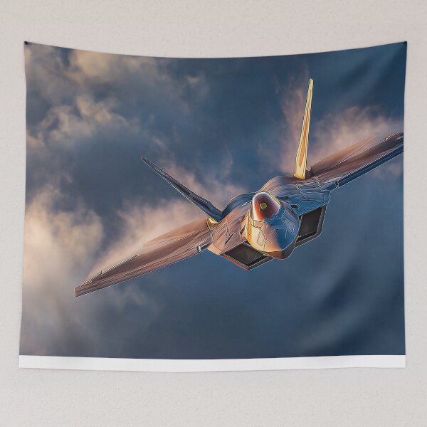 Item preview, Stealth Raptor Twilight Push designed and sold by Skyframe Aviation.