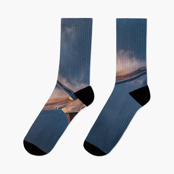 Item preview, Stealth Raptor Twilight Push designed and sold by Skyframe Aviation.