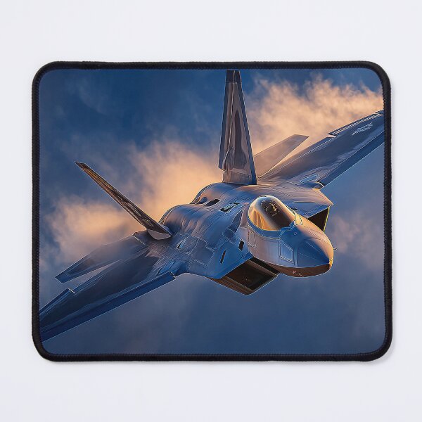 Item preview, Raptor Dusk Assault designed and sold by Skyframe Aviation.