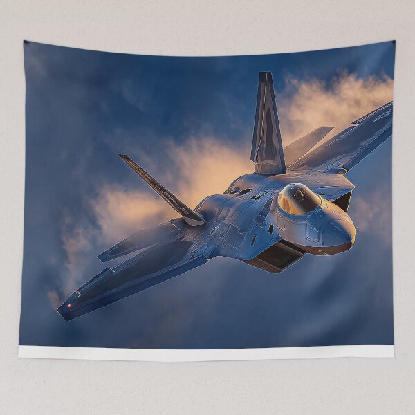 Item preview, Raptor Dusk Assault designed and sold by Skyframe Aviation.