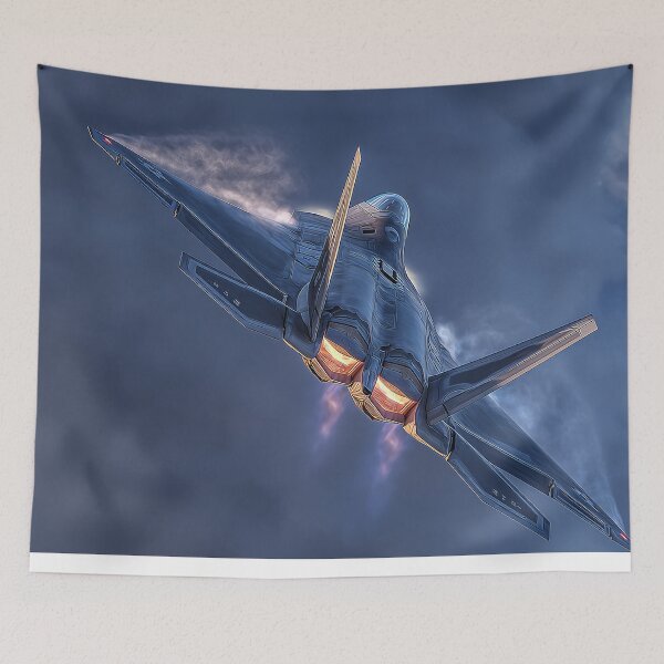 Item preview, Raptor Evening Momentum designed and sold by Skyframe Aviation.