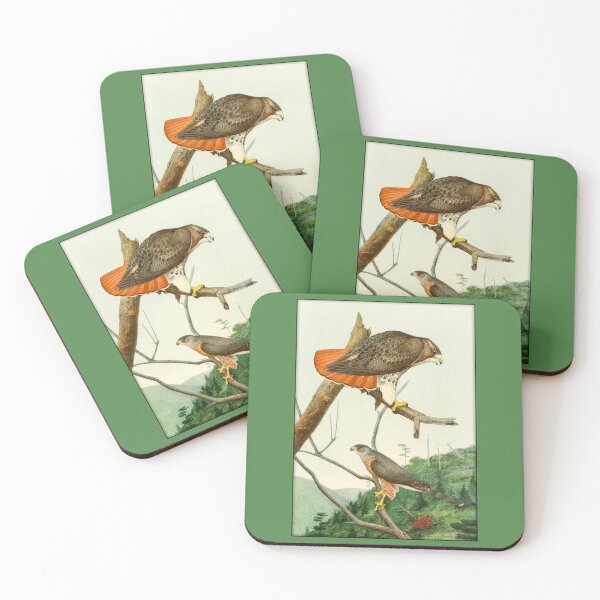 Item preview, Louis Agassiz Fuertes: Red-Tailed Hawk, Cooper's Hawk designed and sold by Tridentulus.