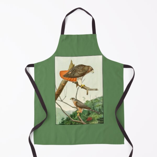 Item preview, Louis Agassiz Fuertes: Red-Tailed Hawk, Cooper's Hawk designed and sold by Tridentulus.