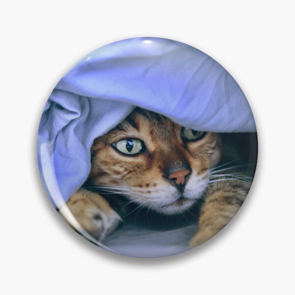 Item preview, Siamese cat under a blue blanket – emerald green eyes full of magic / Swiss Artwork Photography designed and sold by Raphael Wolf.