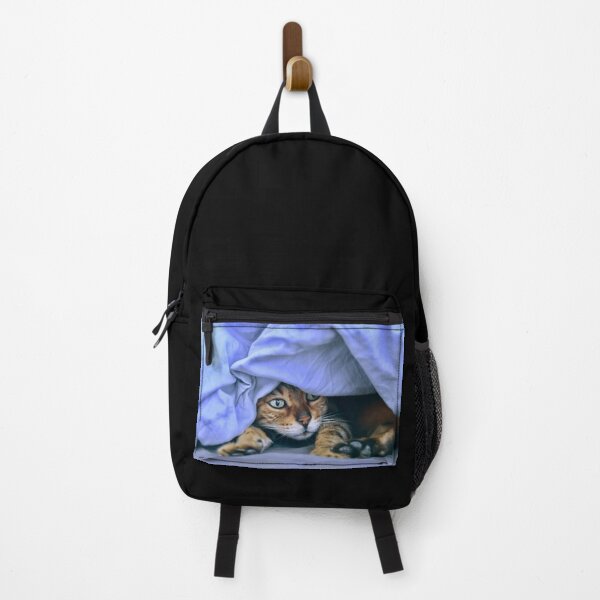 Item preview, Siamese cat under a blue blanket – emerald green eyes full of magic / Swiss Artwork Photography designed and sold by Raphael Wolf.