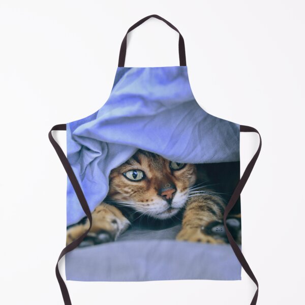 Item preview, Siamese cat under a blue blanket – emerald green eyes full of magic / Swiss Artwork Photography designed and sold by Raphael Wolf.