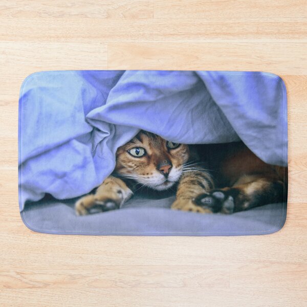 Item preview, Siamese cat under a blue blanket – emerald green eyes full of magic / Swiss Artwork Photography designed and sold by Raphael Wolf.
