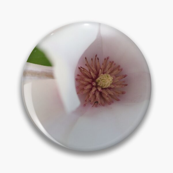 Item preview, The delightful centre of a magnolia designed and sold by Susan Henry.